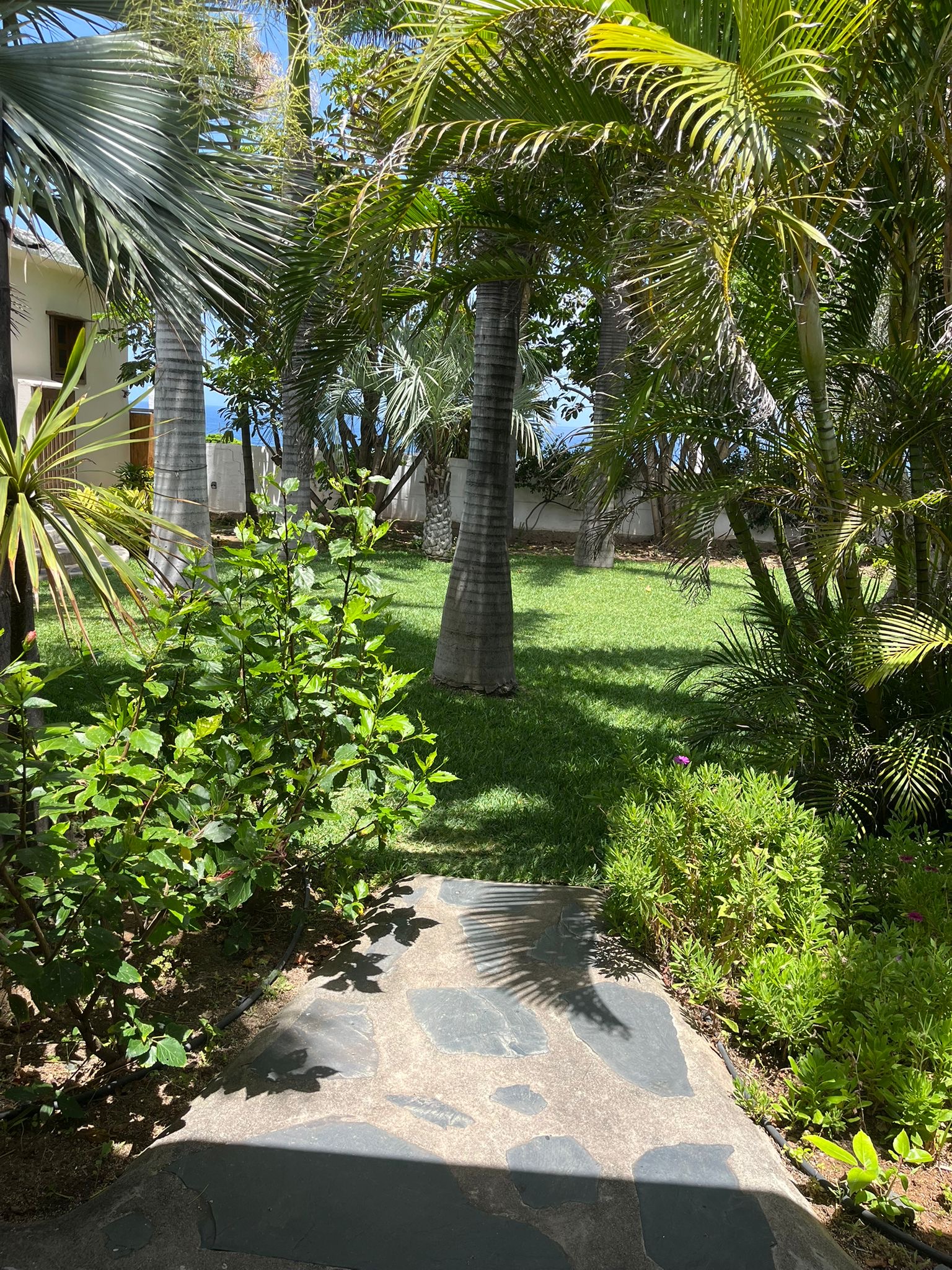 Terraza exterior