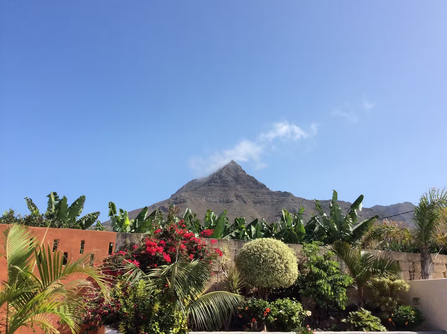 Jardín y terraza
